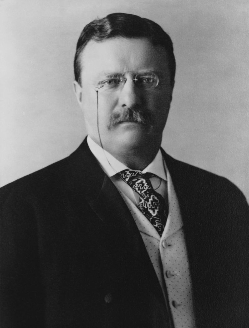 Profiles in Dispute Resolution -Theodore Roosevelt as Mediator